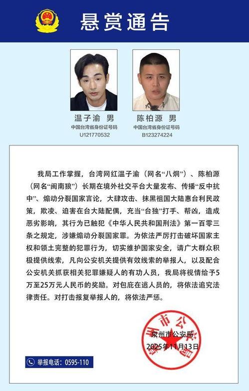 红色通缉令,揭秘跨国追逃背后的正义之战