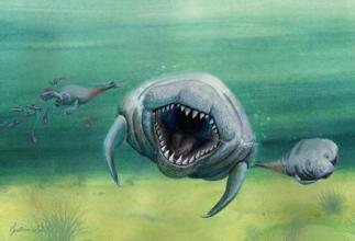 神秘生物：羊人